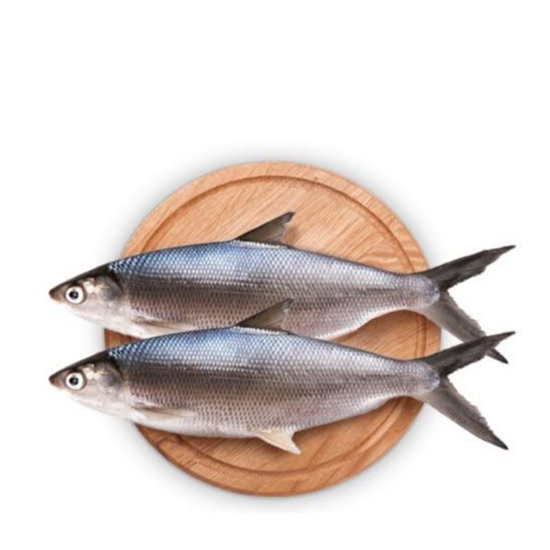

Ikan bandeng