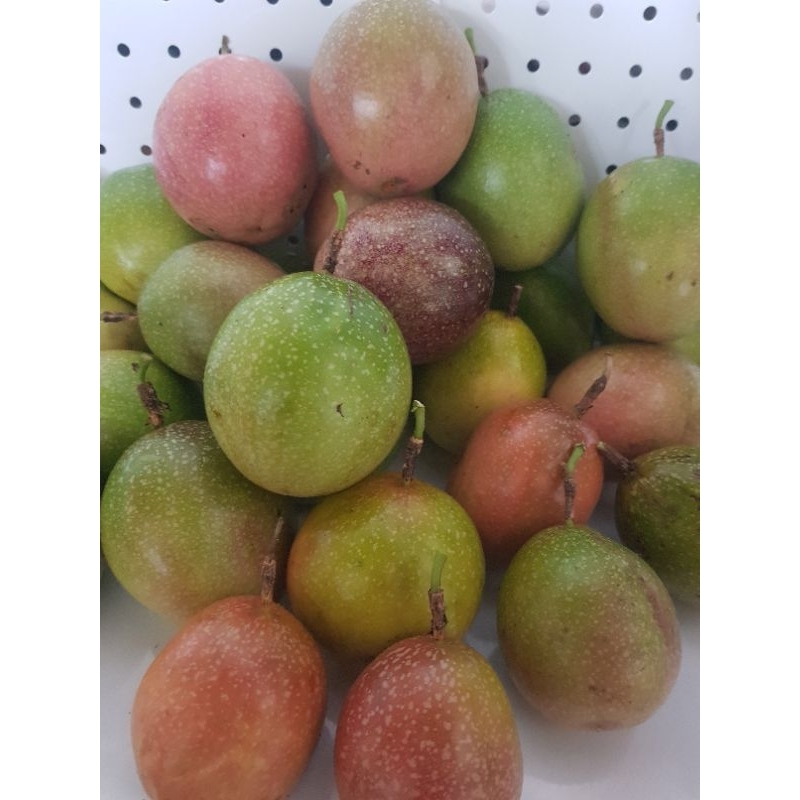 

Buah markisa segar 1kg/Buah markisa kwalitas super/Hijau/Buah markisa fresh/Buah markisa