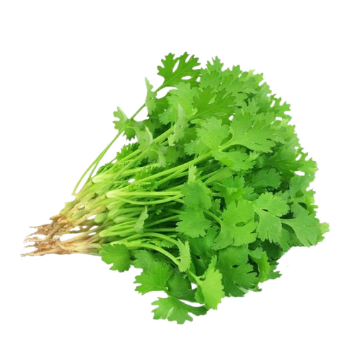 

DAUN KETUMBAR/DAUN WANSUI/CILANTRO SEGAR /PACK/BUNGKUS