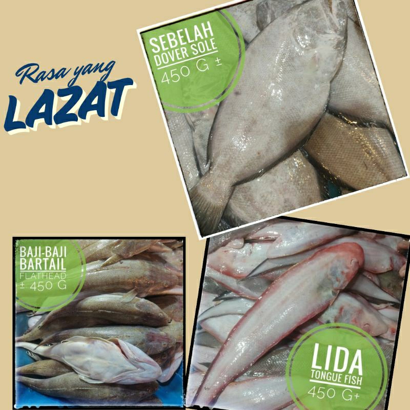 

IKAN laut segar 450 g ⫸ SEBELAH, LIDA, BAJI-BAJI Pasar pagi instant Pekanbaru