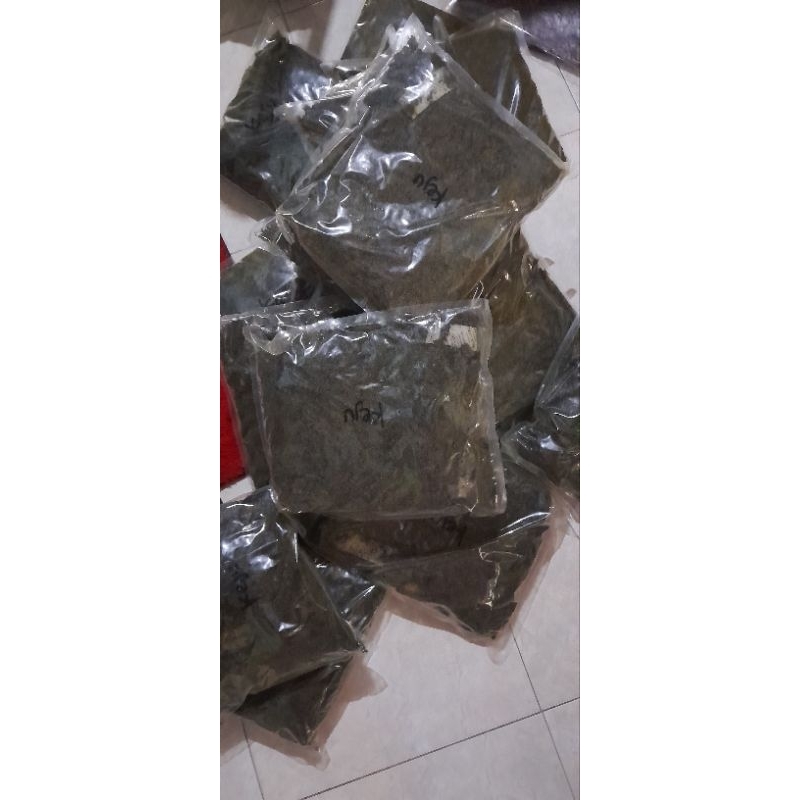 

patahan nori