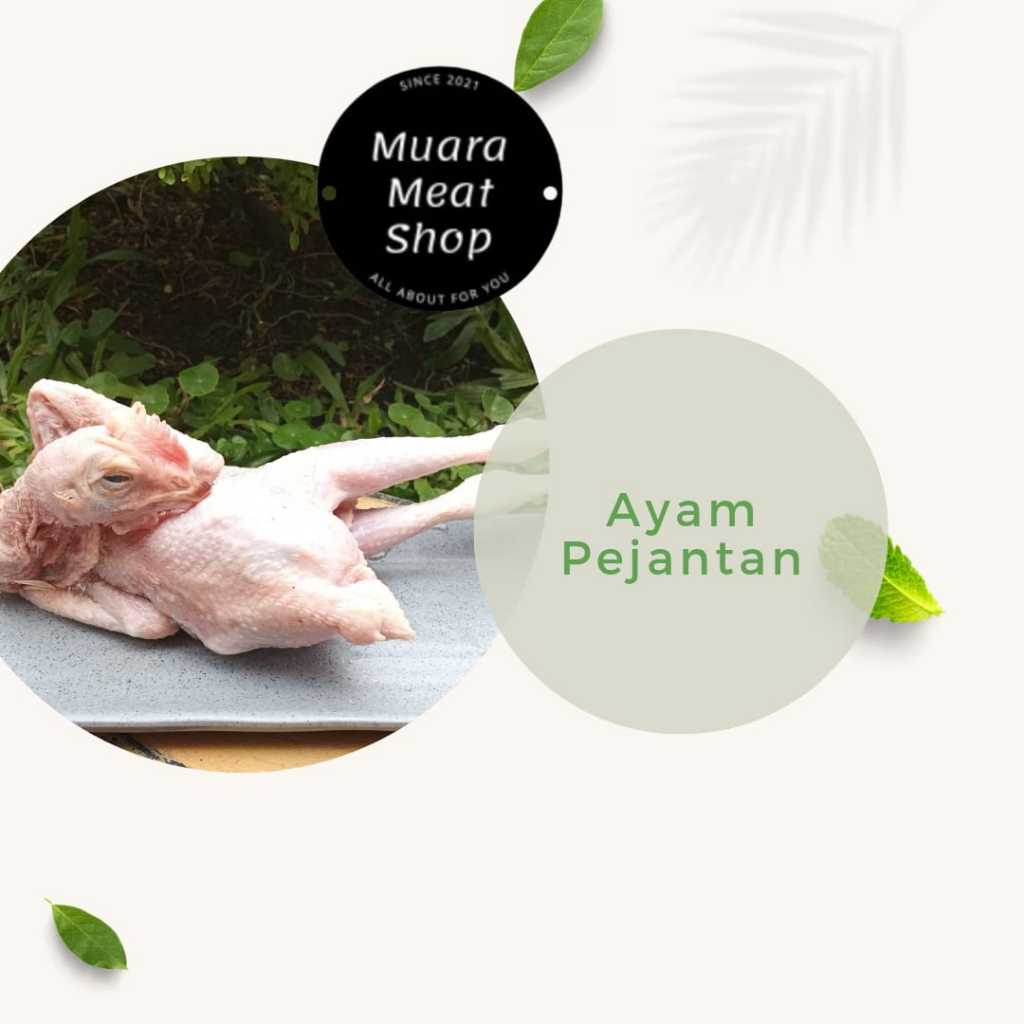 

Ayam Pejantan per Ekor -+ 0,6kg Terlaris Bandung