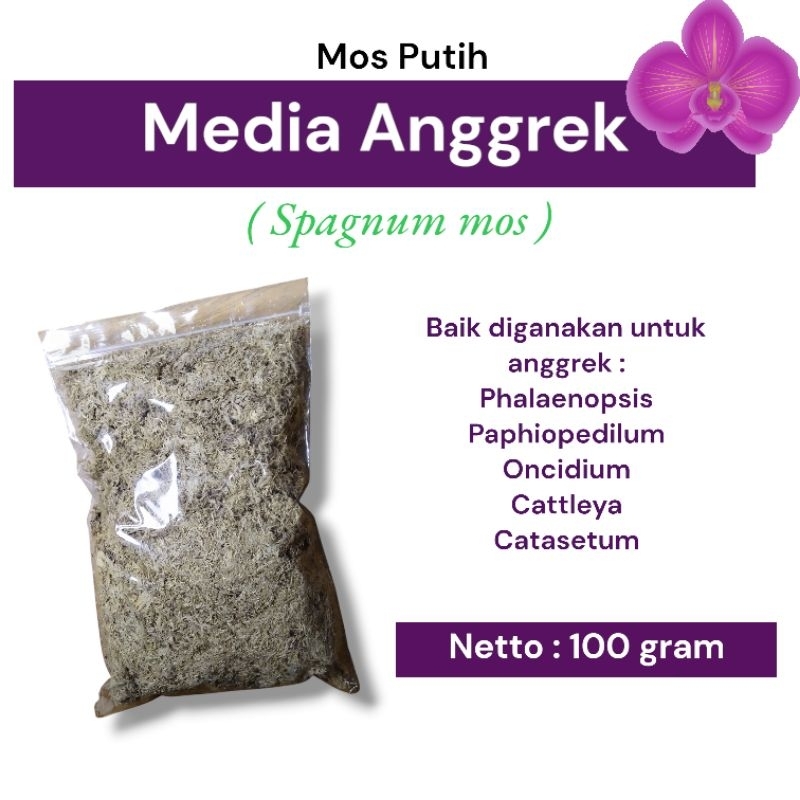 MOS PUTIH SPAGNUM MOS 100 GRAM