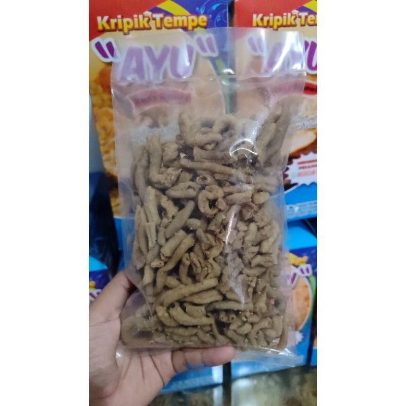 

KERIPIK USUS, CEMILAN USUS, Oleh OLEH ,ASUL ASUL , USUS CRISPY