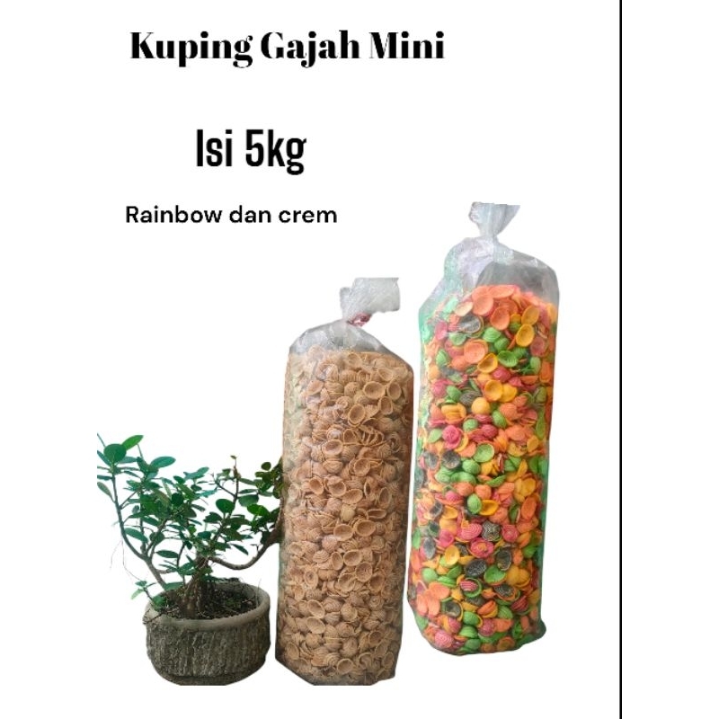 

kuping gajah 1bal (5kg)