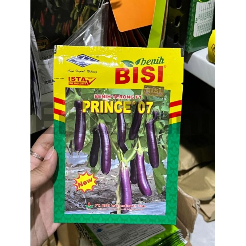 Benih terong PRINCE 07 10 gram terong ungu prince 07 dari bisi