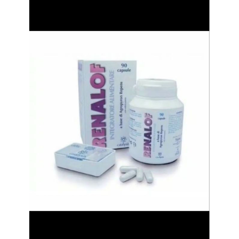 renalof harga perkapsul