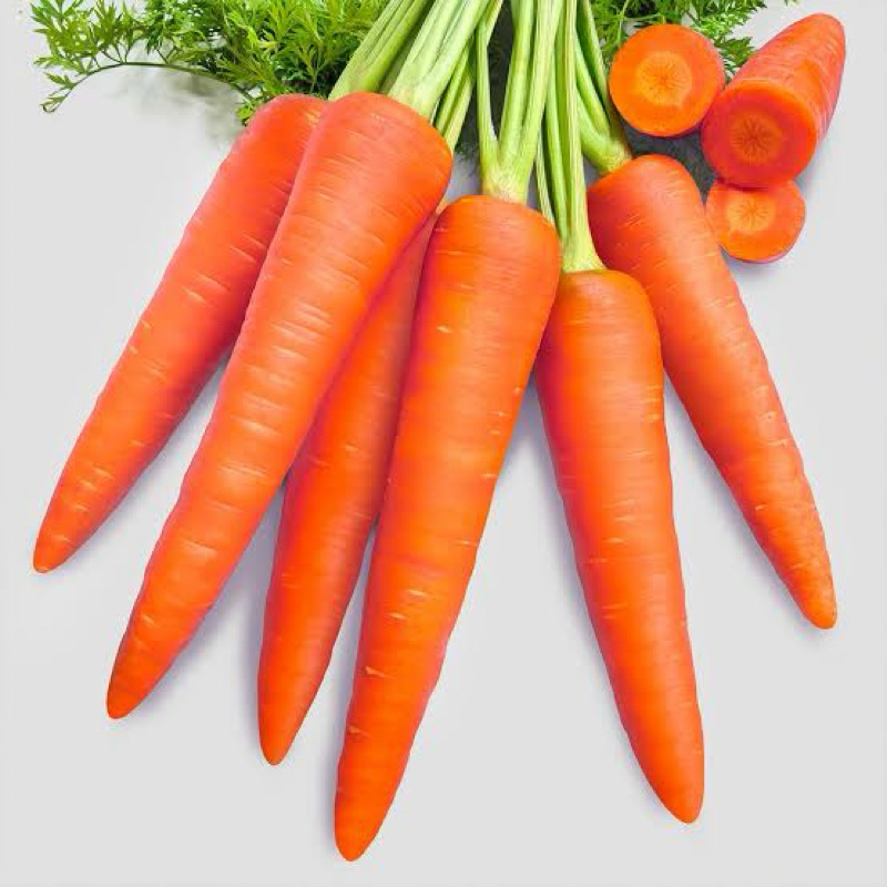 

Sayur Wortel Fresh Premium 1kg