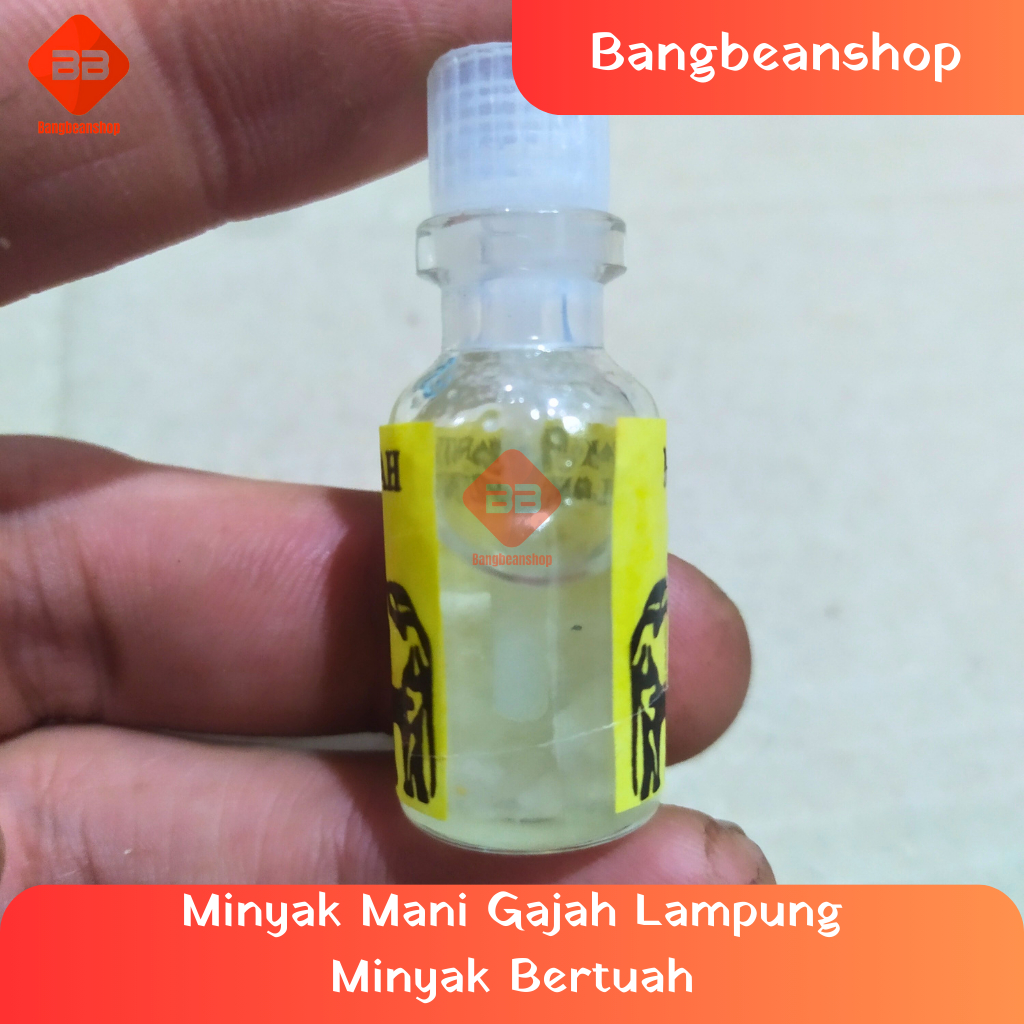 Minyak Mani Gajah Lampung Minyak Bertuah