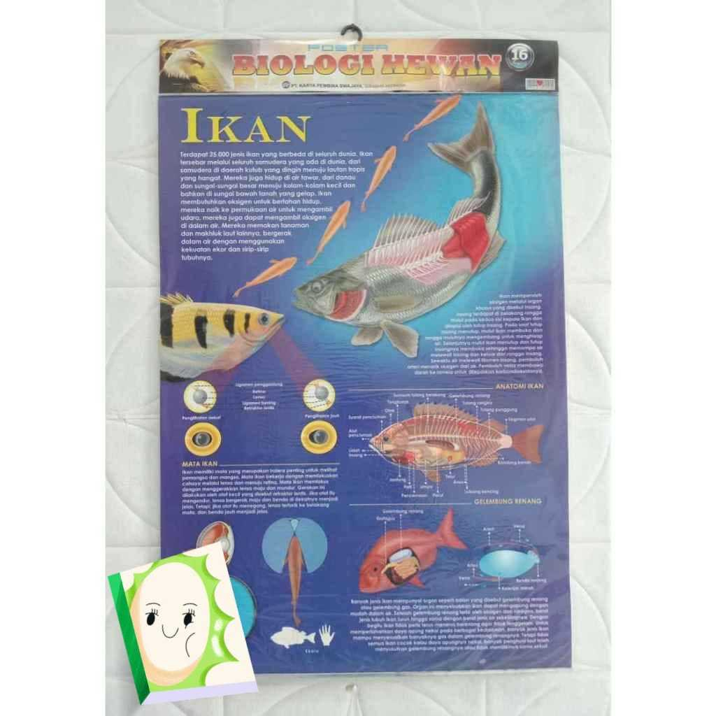 Poster Biologi Hewan Edisi Ikan
