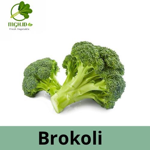 

[KIRIM INSTAN] Brokoli Sayur Segar 350 gr - 450 gr