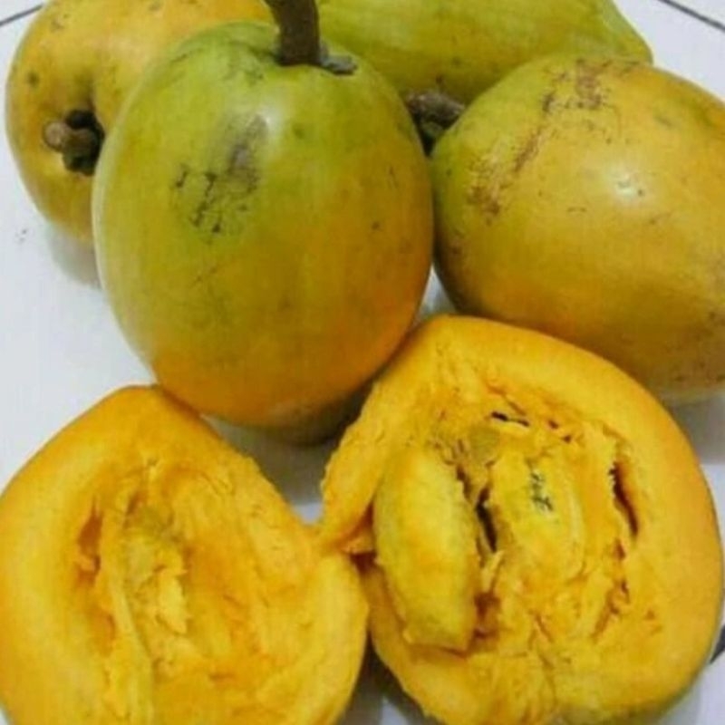 

Sawo Belanda-buah alkesa 500 gram