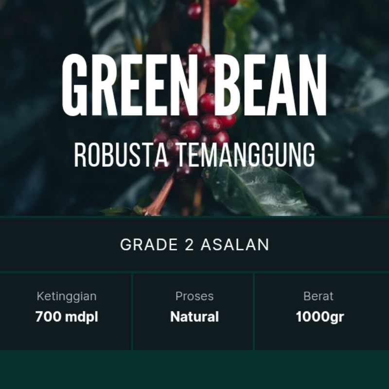 

Green Bean Grade 2 Asalan Robusta Temanggung