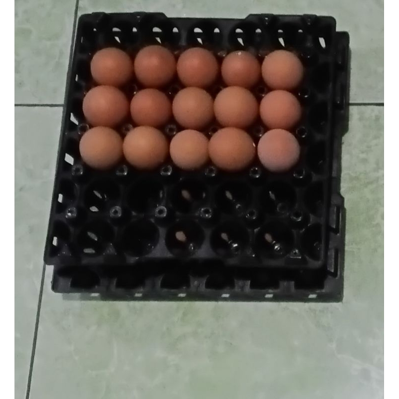 

telur ayam negri FRESH curah per 1kg&500gr (free kardus + bubblewrab gojek-grab)