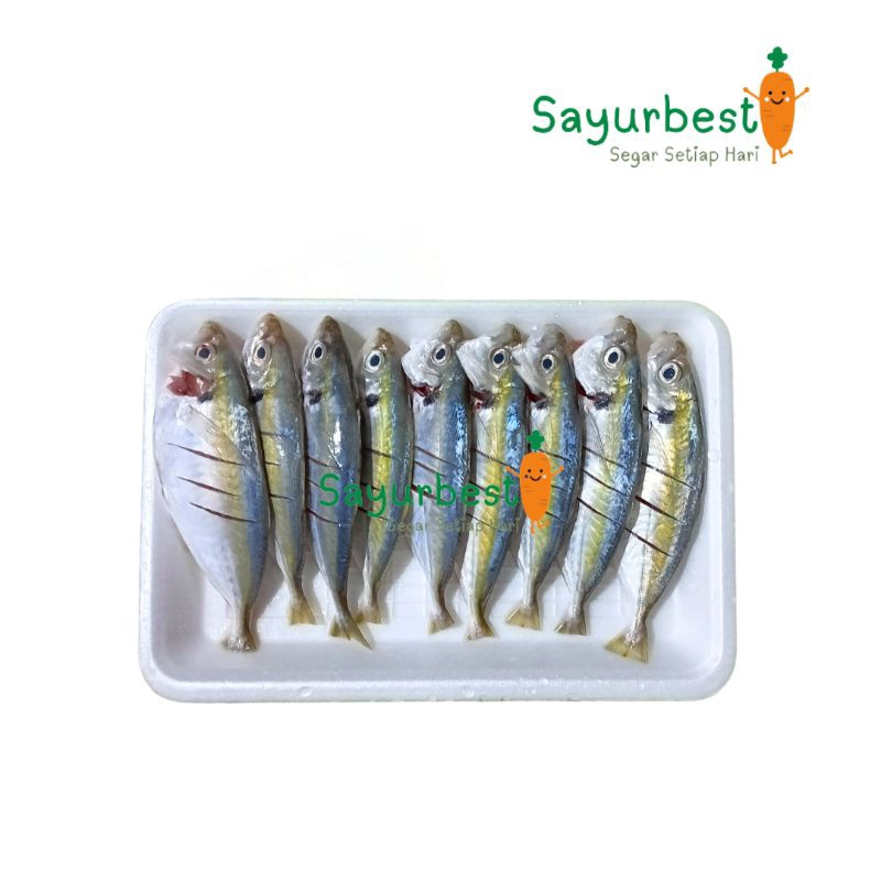 

(PO KIRIM BESOK) Ikan Selar 250 Gram Fresh