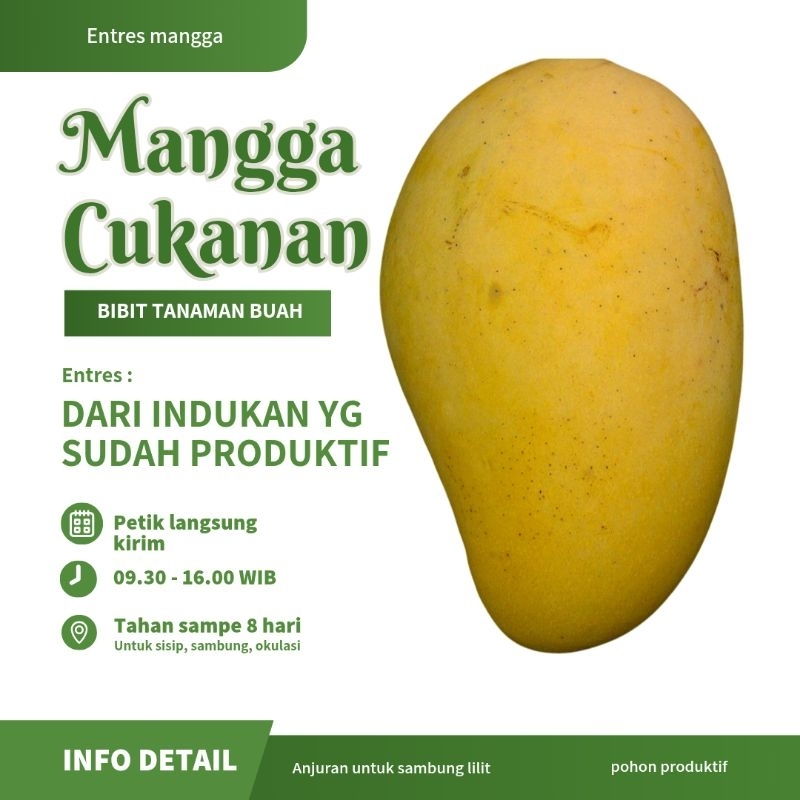 ENTRES MANGGA CHUKANAN
