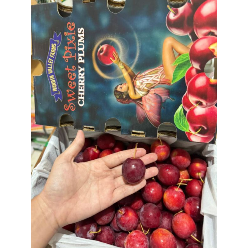 

Cherry Plum (PER PACK)