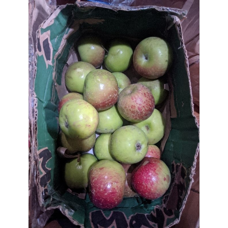 

Apel Malang Manalagi ½ kg