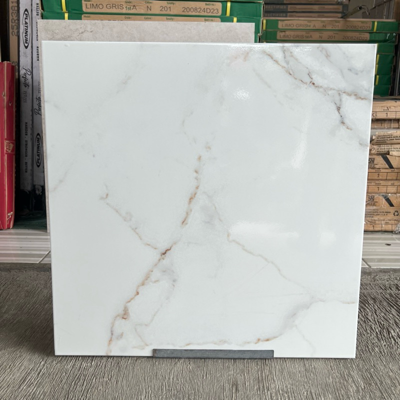 Keramik 50x50 Asia Tile Carara White | Glossy