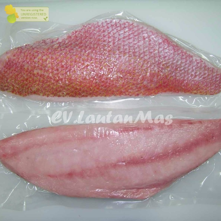 Ikan Kakap Merah Segar 1Kg Ikan Kakap Merah Fillet Daging Ikan Kakap Merah