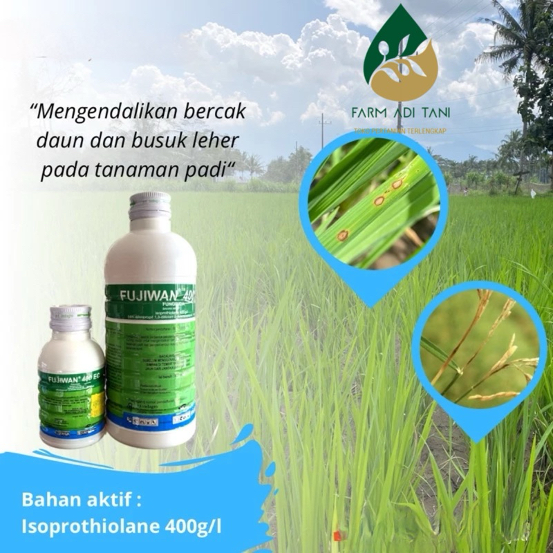 Fujiwan Fungisida 400sc /ZPT / obat tanaman padi