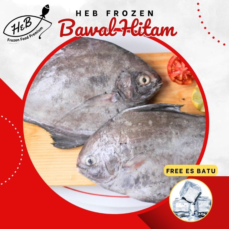 

Ikan Bawal Hitam / Bawal Laut @500Gram