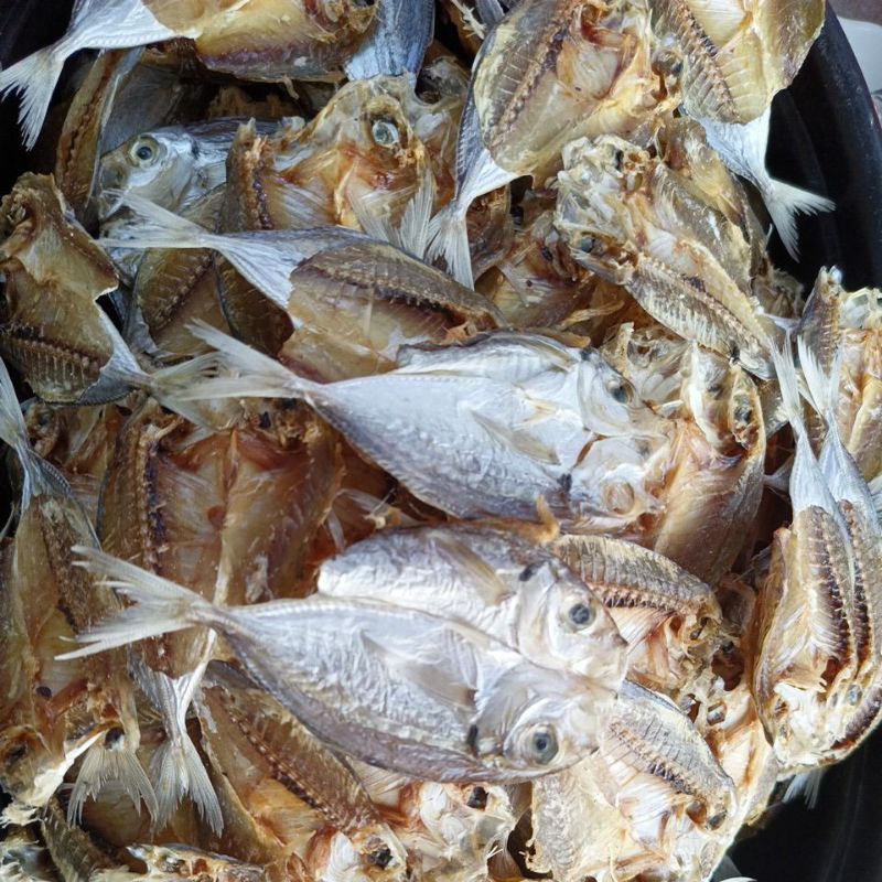 

ikan asin biji nangka atau selar