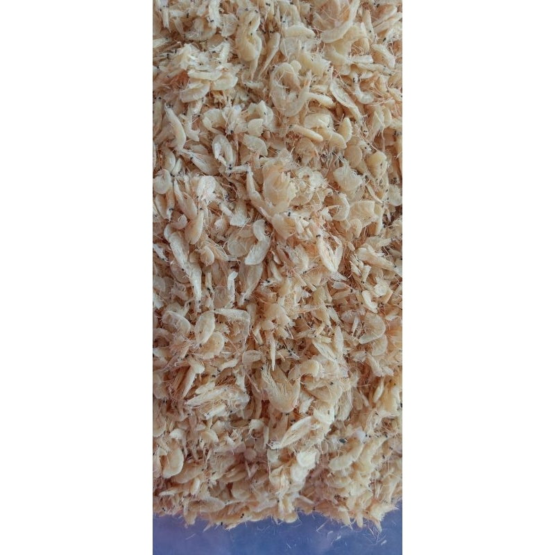 

udang rebon
