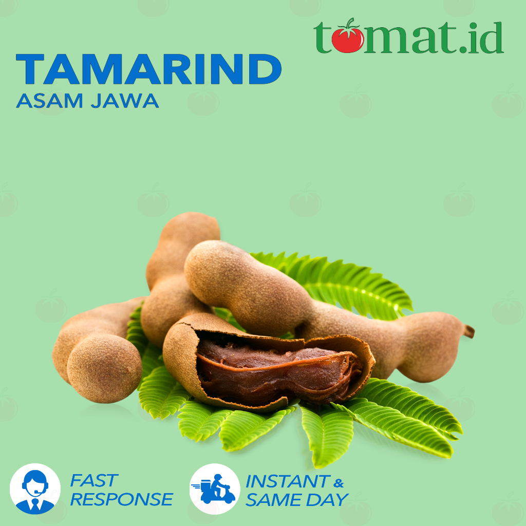 Asam | Asam Jawa | Tamarind | Segar