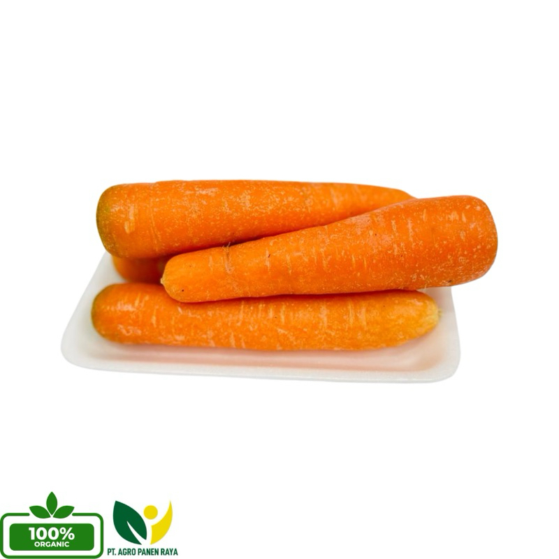 

Fresh Wortel Premium (250gr - 500gr - 1kg)