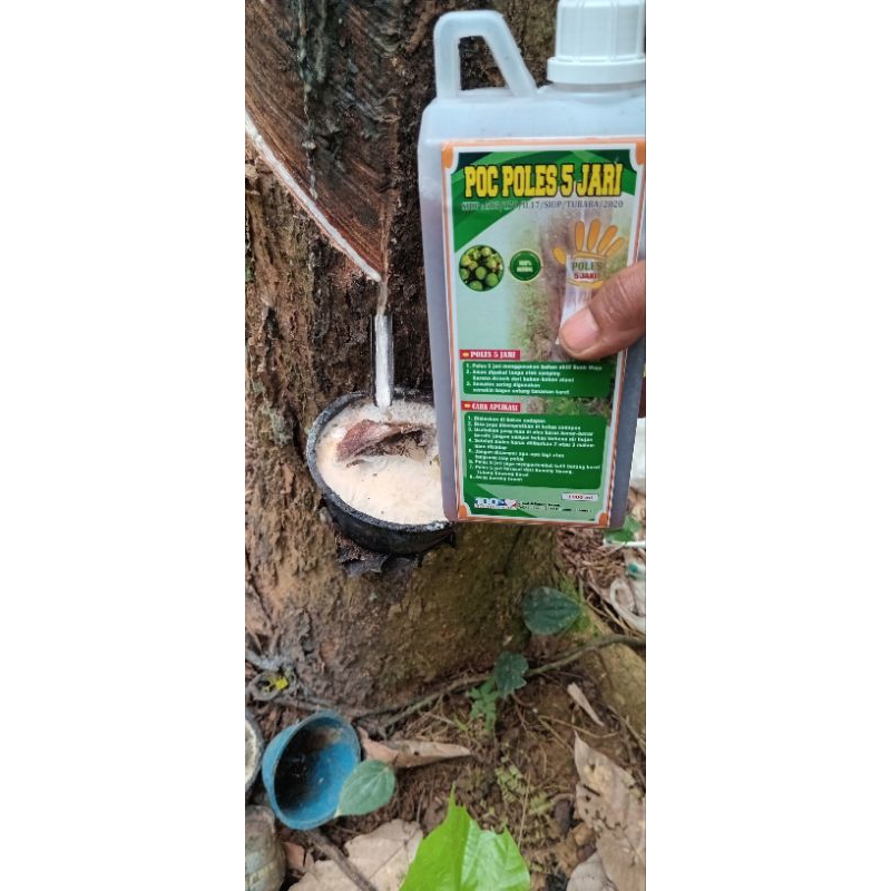 POC POLES 5 JARI