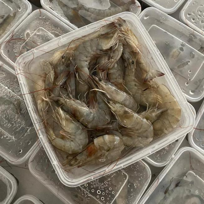 

Udang Frozen 1kg (size 50 - 60)