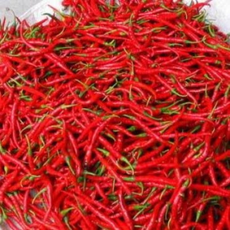 Cabai Merah Keriting 1kg