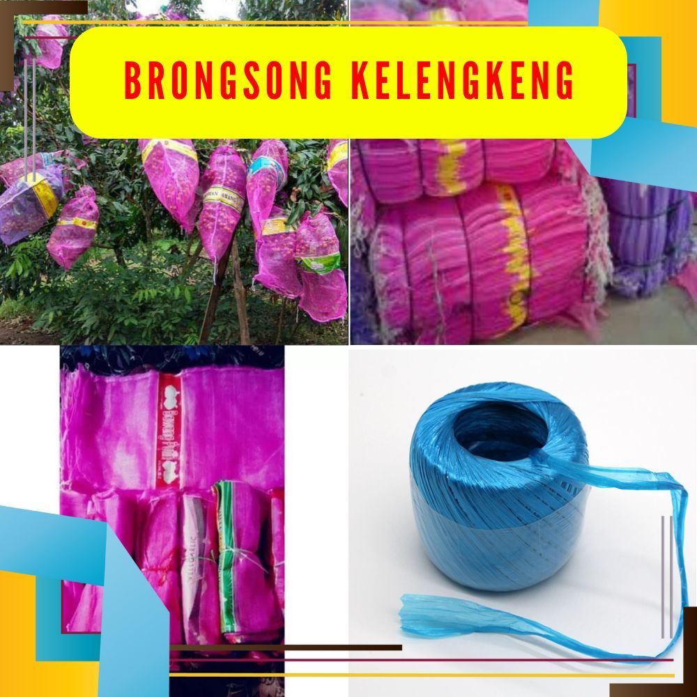 TERLARIS. ISI 10 Brongsong klengkeng + Tali
