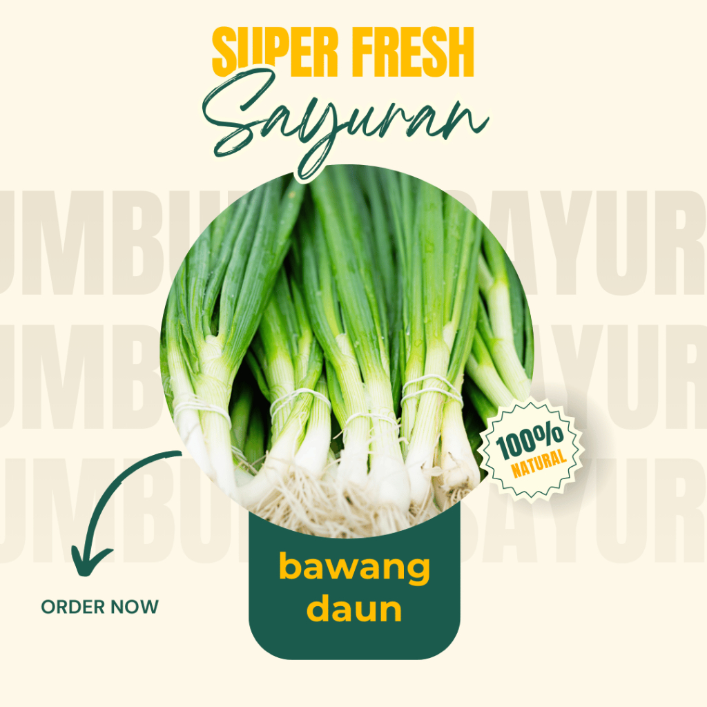 

Daun Bawang Daun Segar