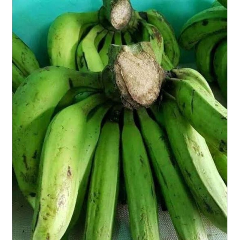 

Pisang Nangka 1 Kg /Super dan bersih/ mentah buah pisang nangka