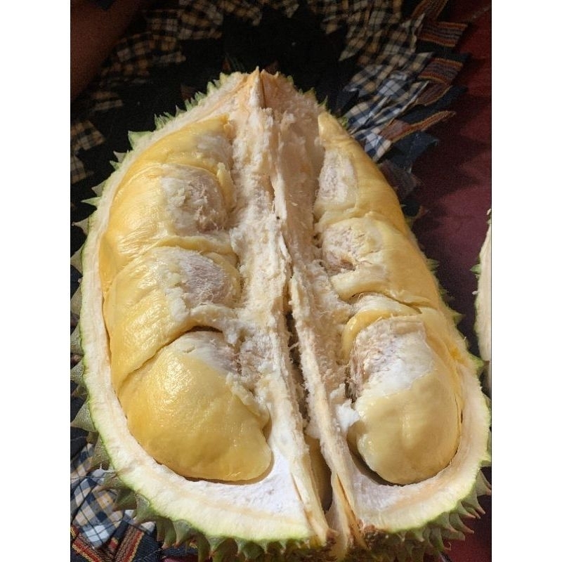 

DURIAN BAWOR BANYUMAS