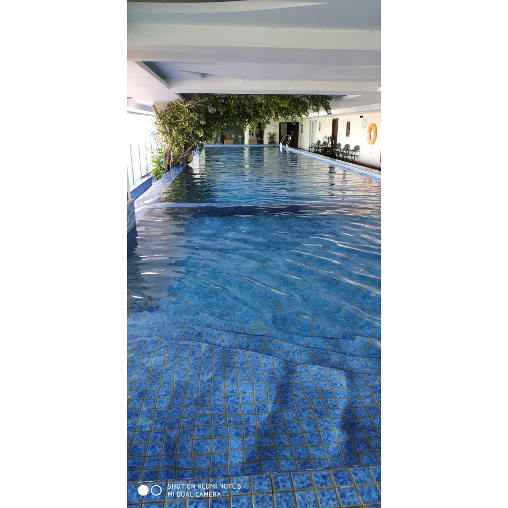 Mosaic Kolam Renang/Mozaik Kolam Renang Modern Merk Kuda Laut Mass Type SQ 514 SUPREME