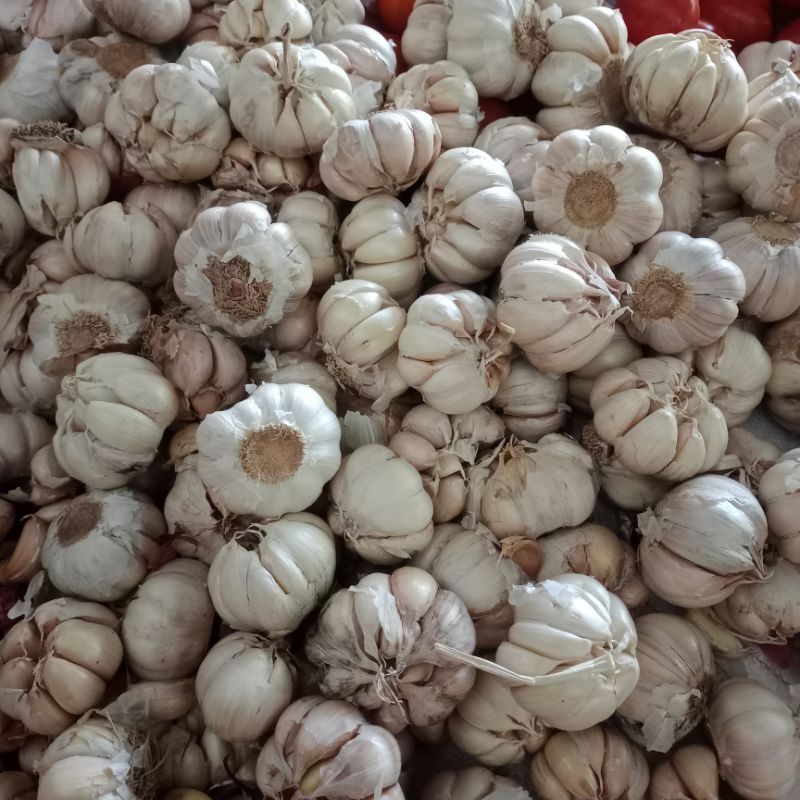 

BAWANG PUTIH 1/2 KG