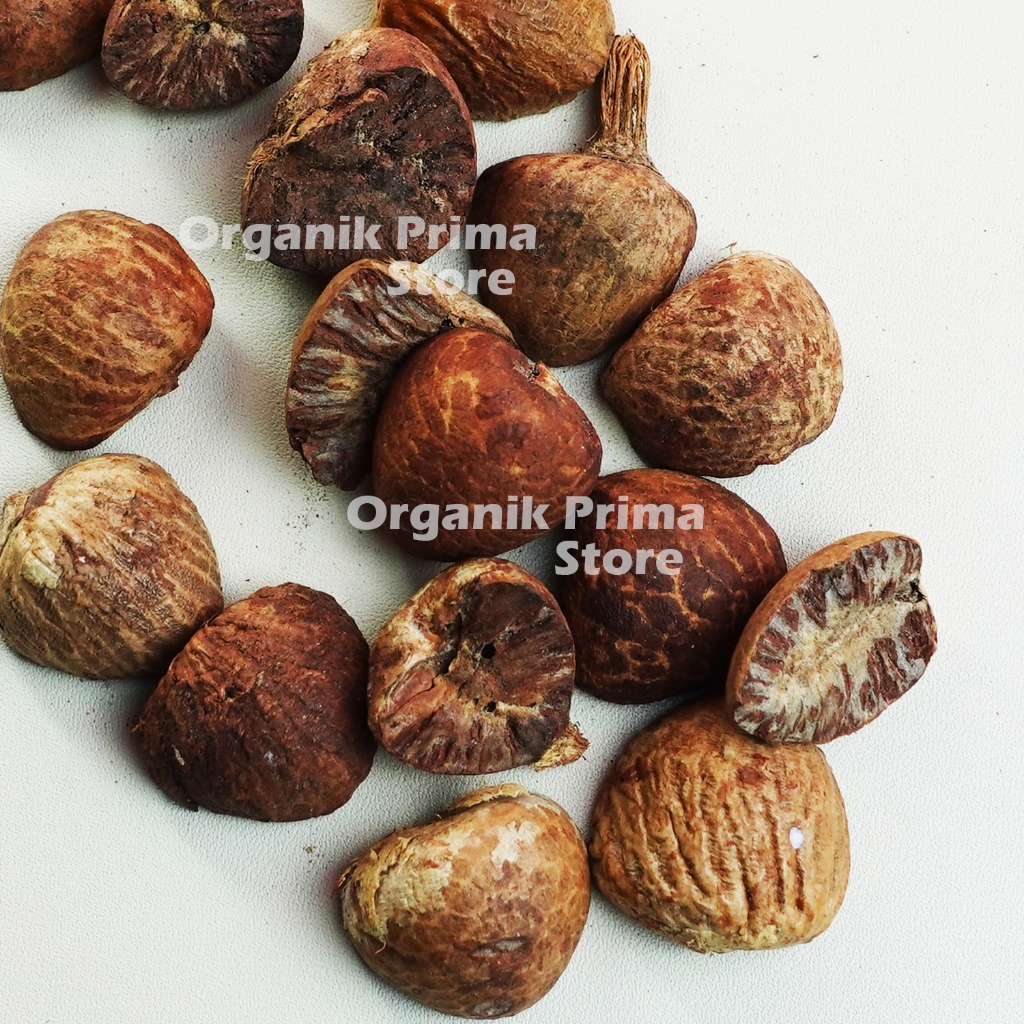 

Biji Buah Pinang 1kg Kering Bersih dan Organik