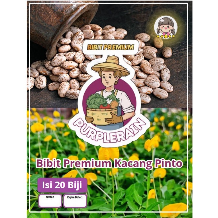 Bibit Premium Kacang Pinto | Benih Kacang Pinto | Pinto Peanut