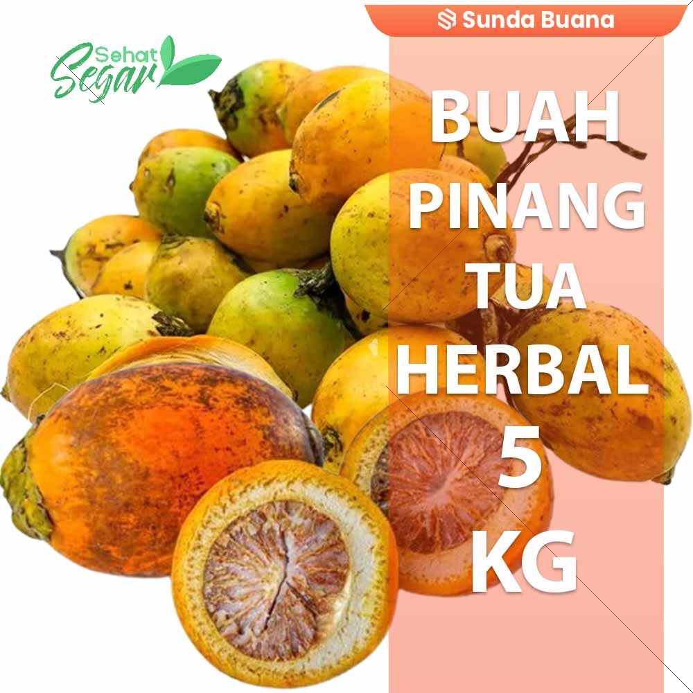 

Paket Kargo Buah Pinang Tua 5 kg fresh dipetik dadakan