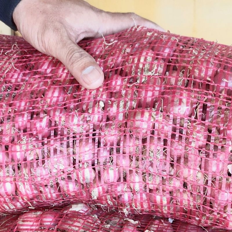 

Bawang Merah/Karung (25KG)