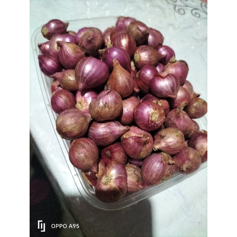 

Bawang merah probolinggo tanggung kering 250g/500g/1kg