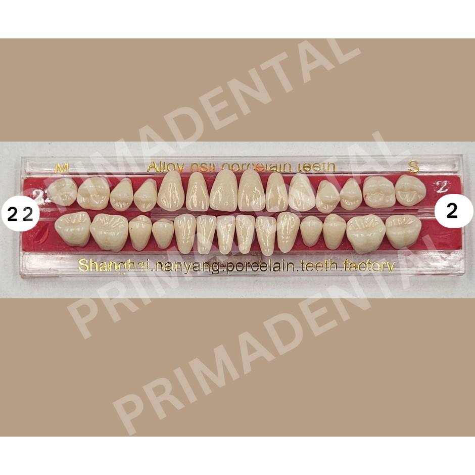 GIGI PALSU PORCELINE FULL SET EKONOMIS