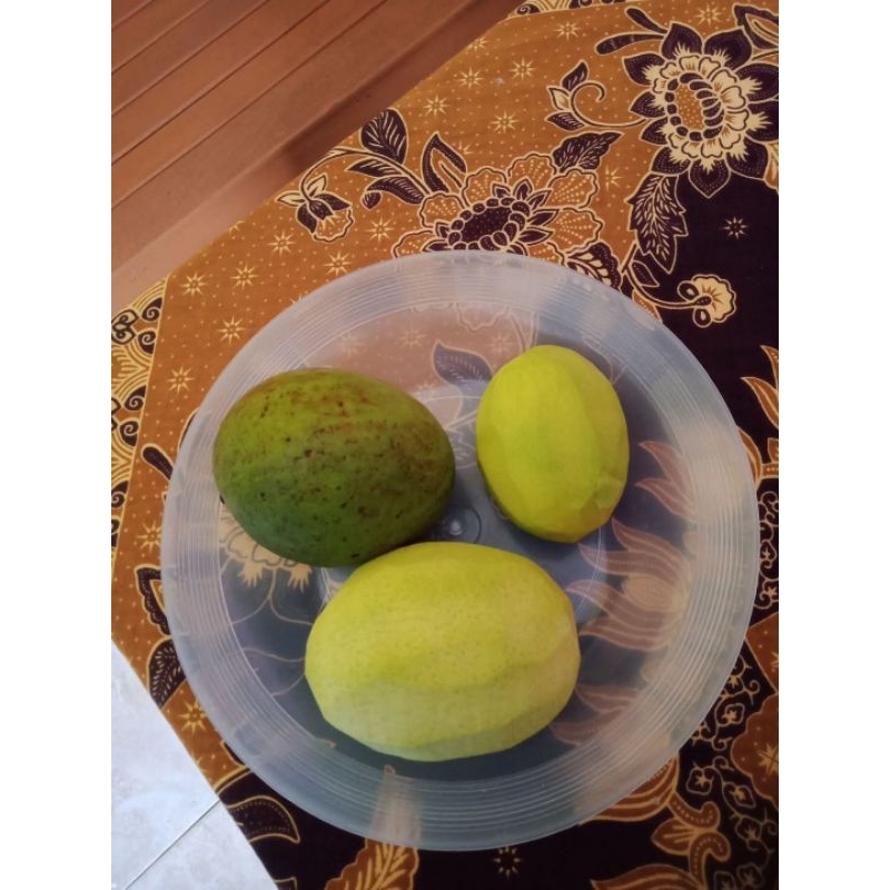 

BUAH PAKEL SEGAR/1 KG