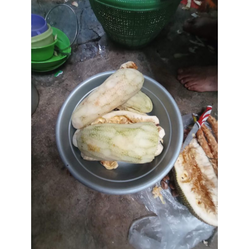 

mandai (kulit cempedak)