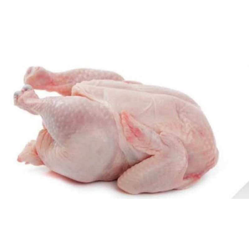 

AYAM POTONG BOILER, AYAM LUAR BEKU 1KG- 1.1KG