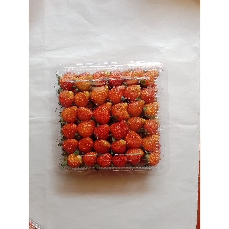 

Strawberry fres Asli ciwidey