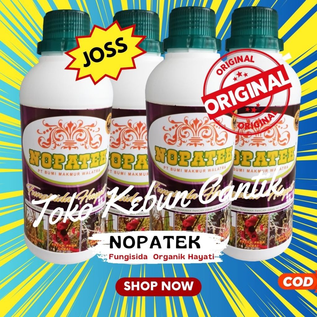 Obat Nopatek Cabe Fungisida Hayati yang Paling Ampuh untuk Patek Busuk Buruk Buah Cabai Timun Tomat 